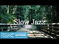 Slow Jazz: Relaxing Lounge Jazz Music for Work, Study