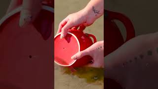 🌵 Cactus for Dinner? Yes, and It’s Delicious! Wild Cooking at Its Best 🔥🏕️ #ForagingFood