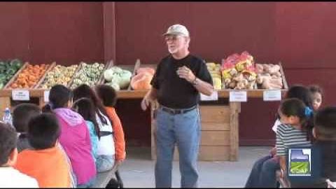 Safe use of pesticides lesson