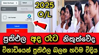 🔴 අද රෑට නිකුත්වෙන O/L ප්‍රතිඵල බලන හැටි 2025 O/ L Results release date & Results News 