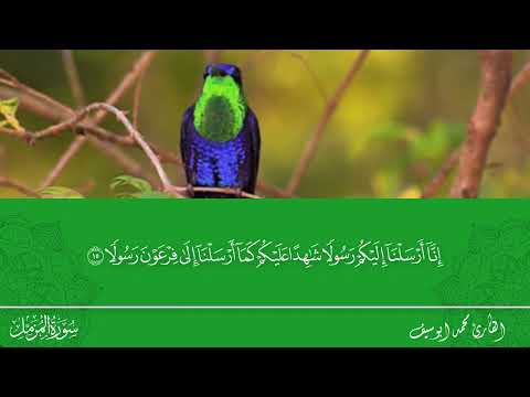 سوره المزمل بصوت القارئ محمد ابو سيف