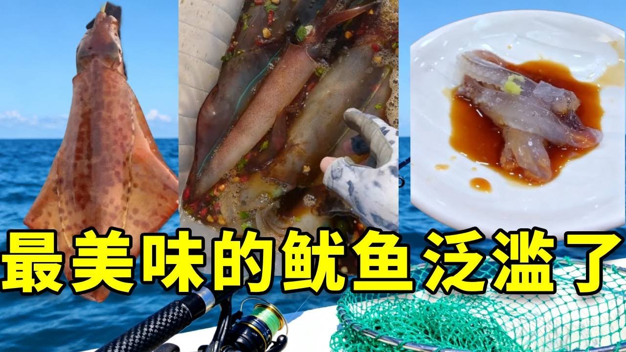 听说一年一遇全世界最美味的鱿鱼在澳大利亚泛滥了，我带女友火速前往澳洲，品尝顶级食材 #大豪夫妇 #fishing #大魚 #鱿鱼