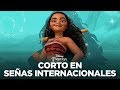 Descubriendo Moana: un mar de aventuras en señas internacionales | Disney Princesa