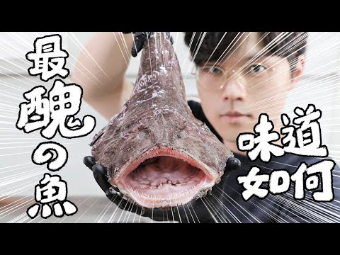 【史上最醜的魚】味道會是如何？ ｜RICOの食材圖鑑