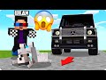 😱Я СПАС ЩЕНОЧКА В МАЙНКРАФТ! ШЕДИ ЛЕСКА И НУБИК СОБАКУ ТРОЛЛИНГ MINECRAFT