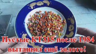видео: ЕЩЁ ДОСТАЛ ЗОЛОТО ИЗ ПУСТЫХ КТ315-361! картинка: ЕЩЁ ДОСТАЛ ЗОЛОТО ИЗ ПУСТЫХ КТ315-361!