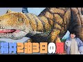 【旅Vlog】桜マラソン応援隊