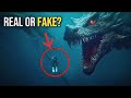 Mythical Sea Creatures - Real or Fake?