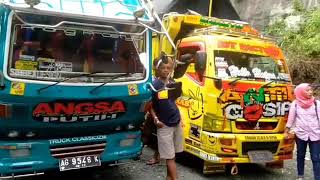 Truck angsa putih