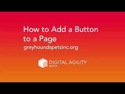 How to add a button to a page with Beaver Builder - Greyhound Pets