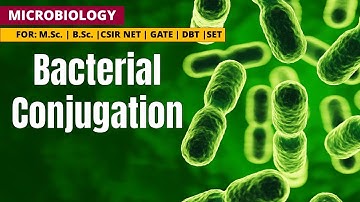 BACTERIAL CONJUGATION | CSIR NET | GATE | M.Sc. | B.Sc. |