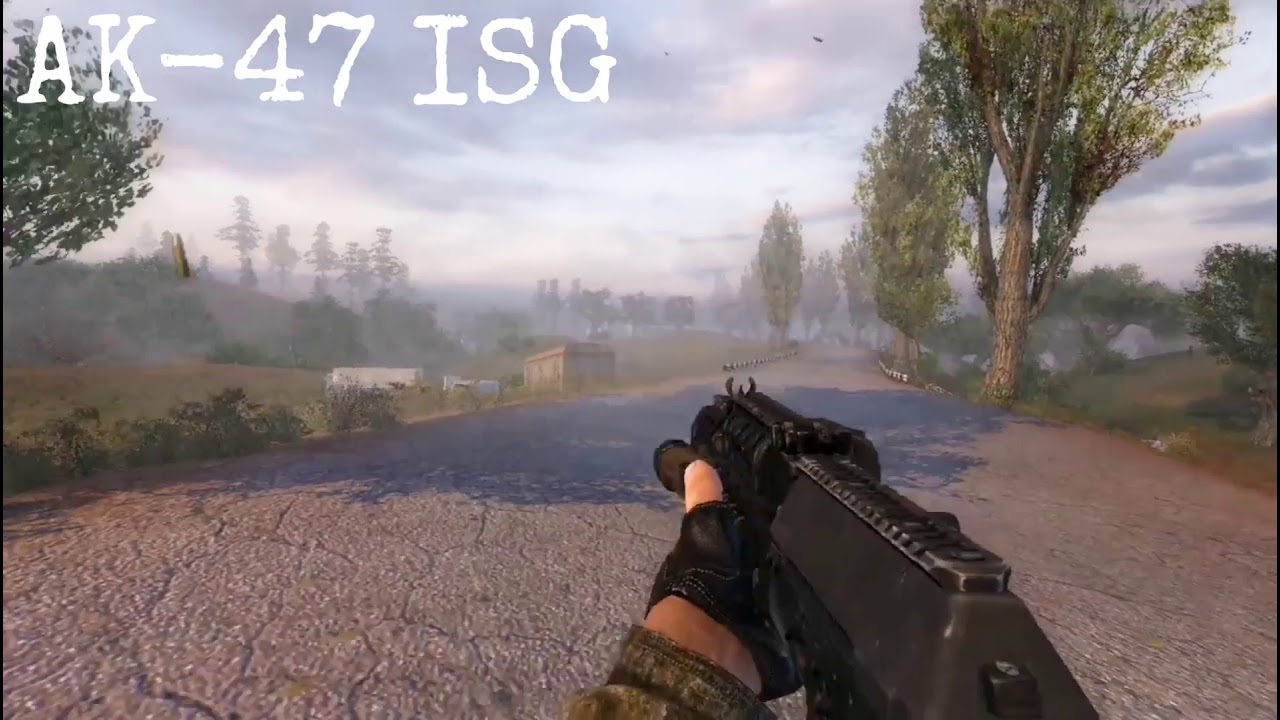 Stalker:AK-47 ISG