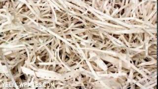 Sarasota Document Shredding Florida Records Destruction