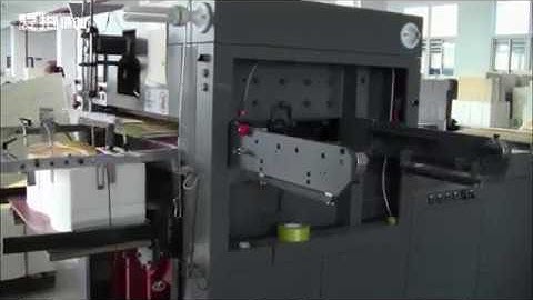 Roll to sheet flat bed die cutting machine - Rollen Stanzmachine für  die Etiketten