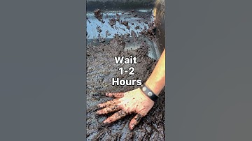 HOW TO MAKE SOIL BLOCKS for seed starting UPDATED RECIPE - ORGANIC COCONUT COIR instead of PEAT MOSS