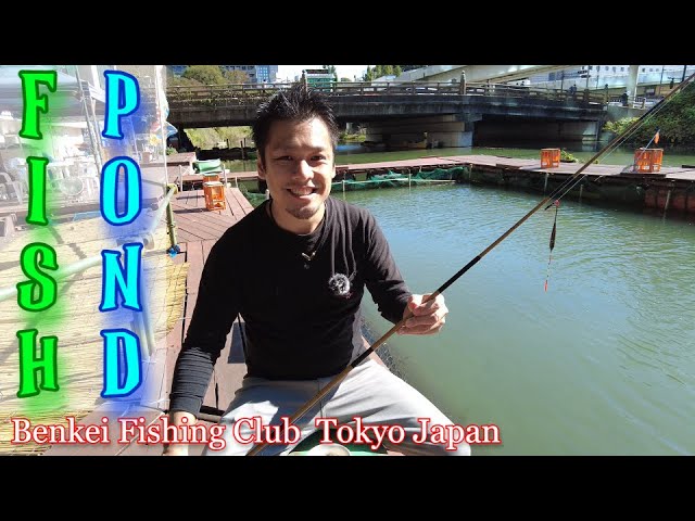 Fish Pond at Benkei Fishing Club in Akasakamitsuke, Tokyo Japan Carp, Black  bus 釣り堀 弁慶フィッシングクラブ 赤坂見附 