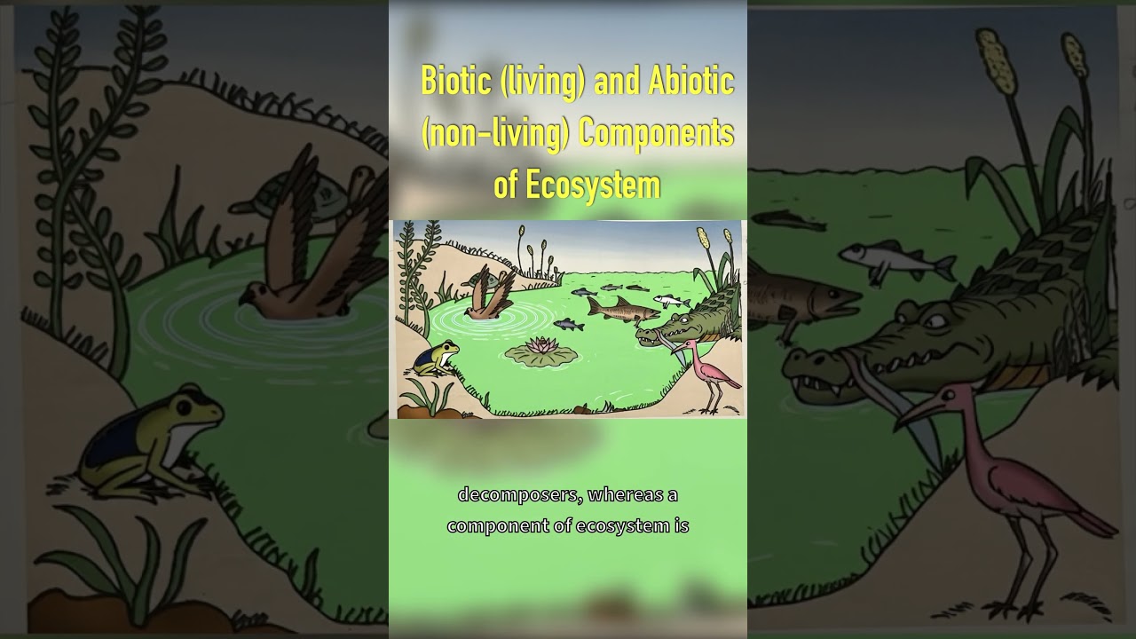Components of Ecosystem- Biotic and Abiotic 