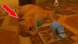 СИМУЛЯТОР МЫШИ #20 ОХОТИТСЯ на КОТА купили РЫЦАРСКИЙ СКИН в Mouse Simulator screenshot 1