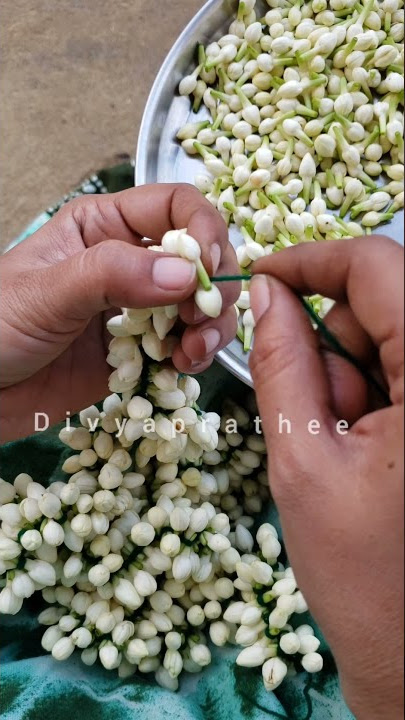 Fresh Jasmine flower garland #traditional #veni #poolajada #diy #flowerGarland #jasmine #malligai