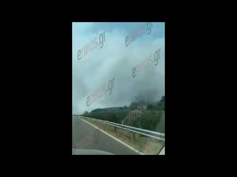 enikos.gr - Φθιώτιδα: Φωτιά στην Μακρακώμη