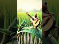 Guitarist  #guitar #guitarist #viralshort #entertainment #trendingshorts #music #anime  #animation