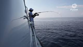 A Dozen Must Do Experiences in the Maldives -  Sunset fishing