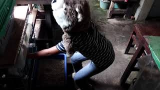 Khafshas Family- Menyisir Rambut Kocheng.2