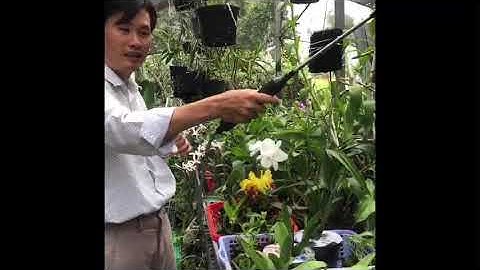 Bộ Tưới Cây Cầm Tay - Hoạt Động Bằng Pin