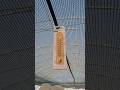 Ce temperatura este iarna in solar?