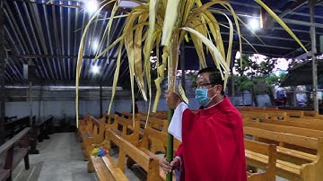 Trực tiếp: Thánh lễ thứ bảy Tuần V Mùa chay | lúc 18giờ00 ngày 04.04.2020 tại Giáo họ Vĩnh Lộc