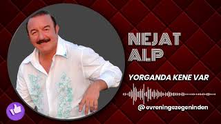 Nejat Alp -  Yorganda kene var Resimi