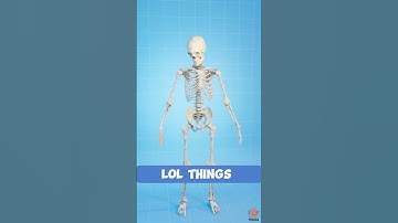 Human Bones Explained in 1 Minute! | You Won’t Forget This Ever Again! #ai #shorts #viralvideo