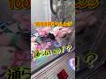 ぬいぐるみが欲しければ押し込め！#クレーンゲーム #shorts #short #攻略 #コツ #ufoキャッチャー #clawmachine #shortvideo