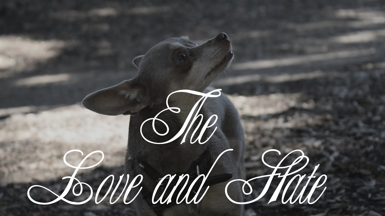 Flacid Dexterity - The Love and Hate