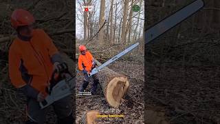 Biggest & Most Powerful Chainsaw in the World 😳