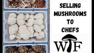 How We Market And Sell Mushrooms To Chefs