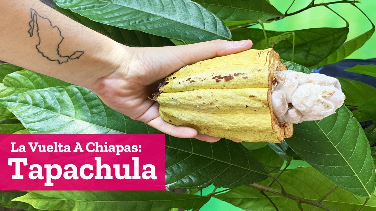 Tapachula y Tuxtla Chico en La Vuelta a Chiapas con ADO | El Andariego