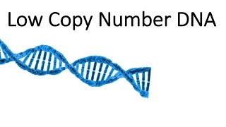 Low Copy Number DNA and it´s problem in crime cases