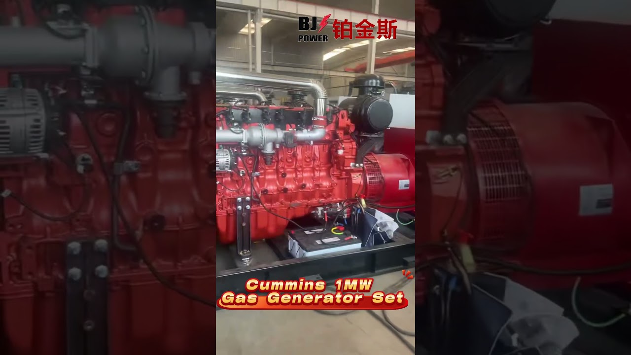Cummins 1MW Gas Generator Set