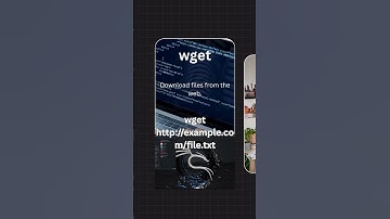 Linux Command wget Download Files from the Web   #Shorts