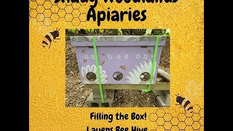 Adding frames to a 20 Frame Layens Horizontal Bee Hive June 10, 2022