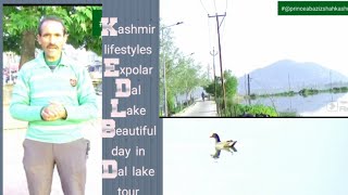 Kashmir lifestyles //Tour Explore Dal Lake ⭐ beautiful day in Dal lake ⭐⭐⭐⭐⭐⭐⭐⭐ part 1