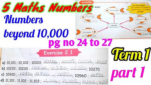 5 Grade Maths,(unit 2)Numbers [exercise2.1pgno24 to 27],Activity,part1,Term1,New samacheer syllabus