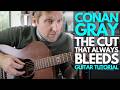 The Cut That Always Bleeds by Conan Gray Guitar Tutorial - Guitar Lessons with Stuart!