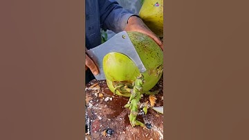 Easy Way To Peeling Young Coconut. Amazing Coconut Cutting Skills. #shorts #cuttingskills #coconut