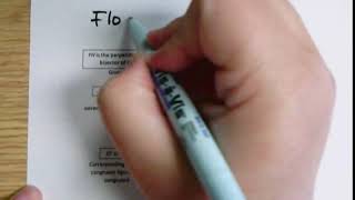 Ways to Write a Proof (2-column, flow and paragraph summarized)