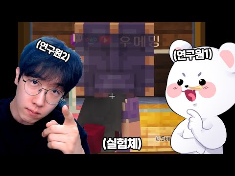 멋사의 사회실험실 : 도박의 위험성 [마카오톡]