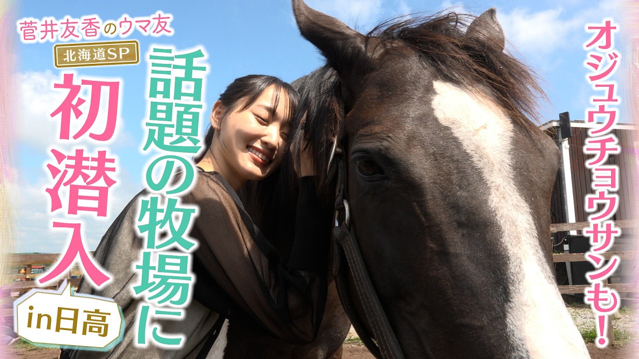 関連動画2
