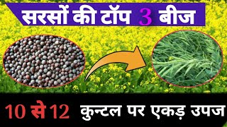 सरसों की टॉप 3 वैरायटी  | best mustard seed  varieties | desi mustard seed | sarson ki varieties