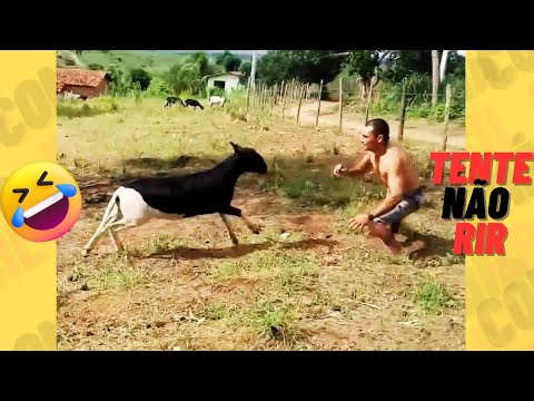 TENTE NÃO RIR IMPOSSÍVEL 🤣 - OS MELHORES memes e VÍDEOS ENGRAÇADOS 2025 #memes #comedia #329